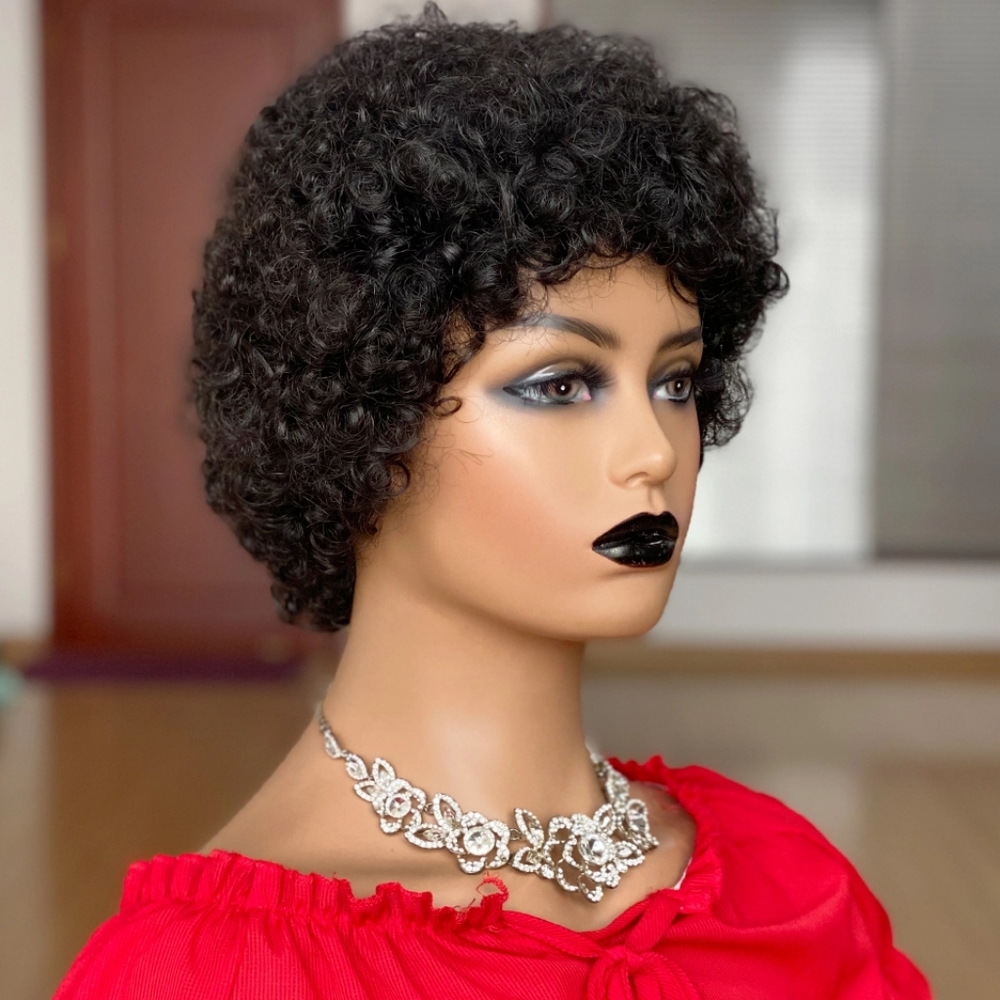 100% human hair wig